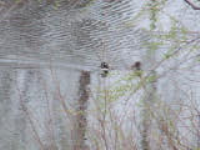 100_6008.jpg
